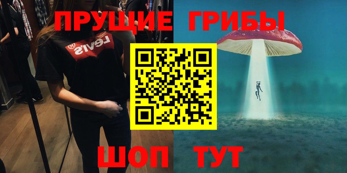купить закладку  Вход с VPN  Самара  Псилоцибиновые грибы мухоморы 